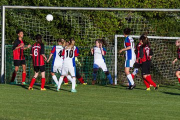Bild 234 - B-Juniorinnen SG Wilstermarsch - SV Henstedt Ulzburg : Ergebnis: 5:1
